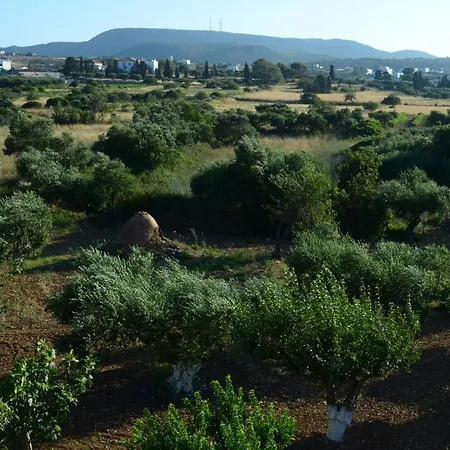 Theofilos Appartement