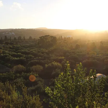 Apartmán Theofilos *