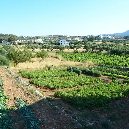 Theofilos Apartman *